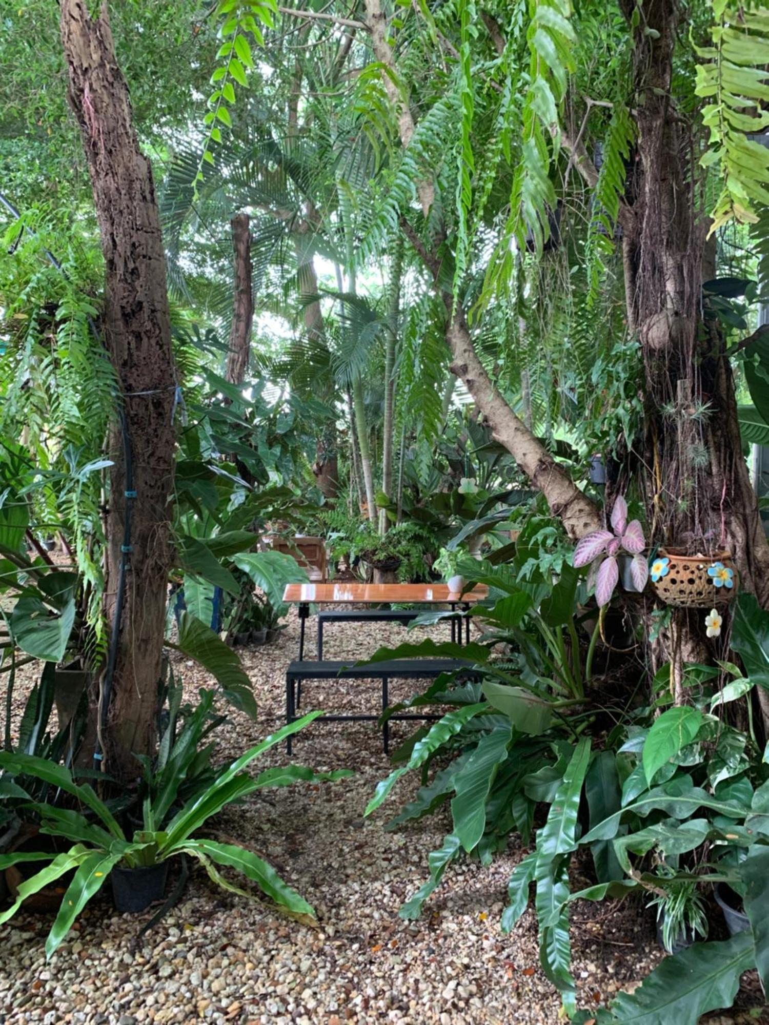 Baan Suan Duang Porn Resort Ban Phae  Exteriér fotografie