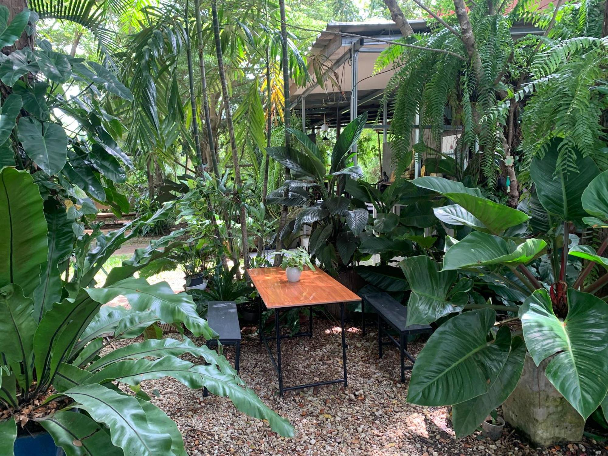 Baan Suan Duang Porn Resort Ban Phae  Exteriér fotografie