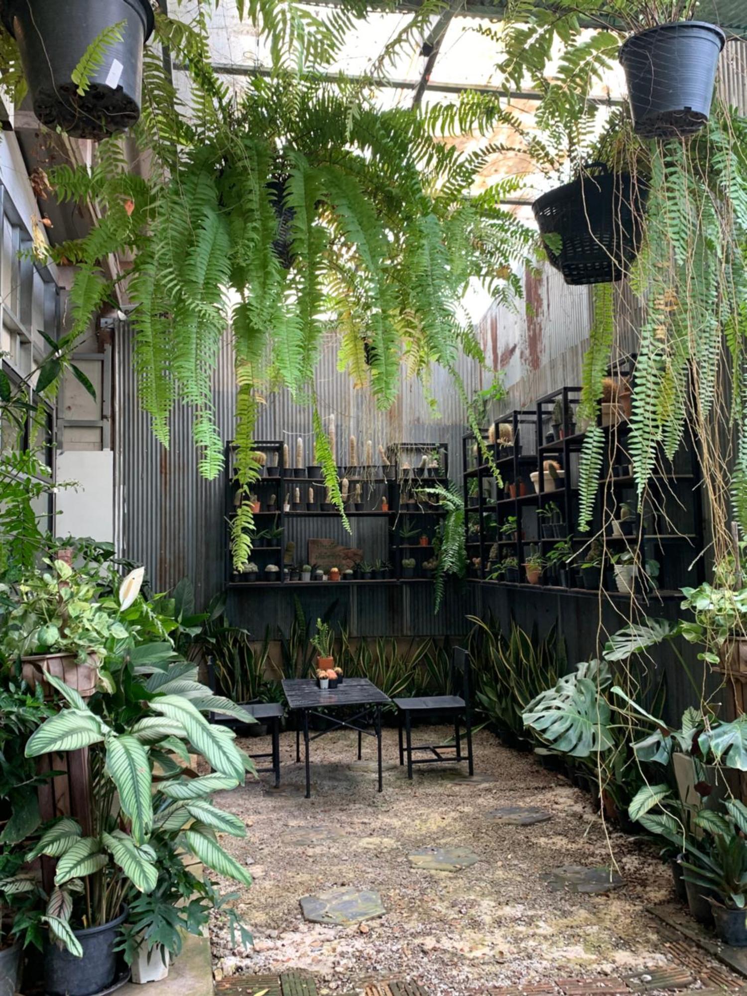 Baan Suan Duang Porn Resort Ban Phae  Exteriér fotografie